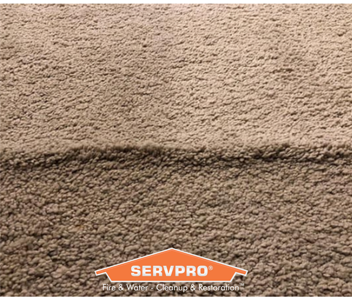 Carpet delamination happens after water is between the primary and secondary backings under the carpet, causing a ripple. 