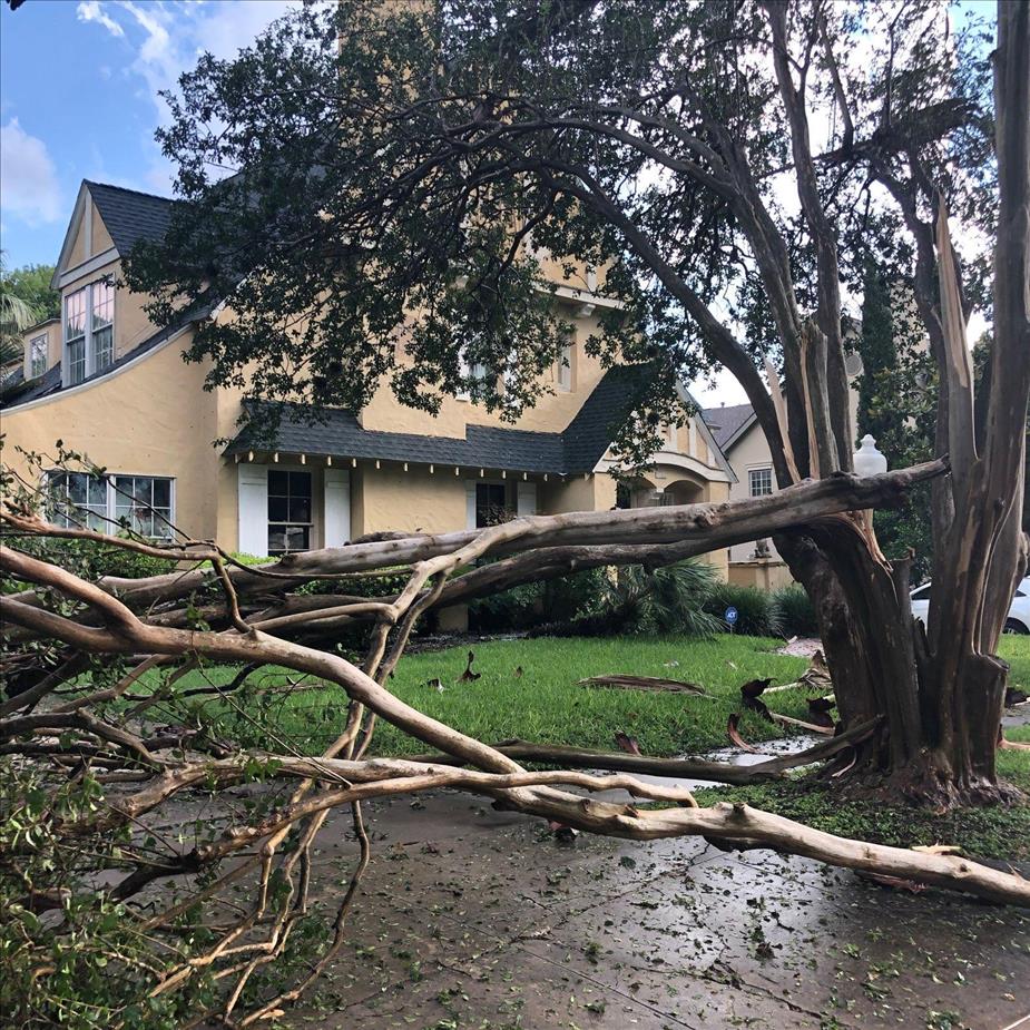 A tree has fallen onto the side of a home after a storm.